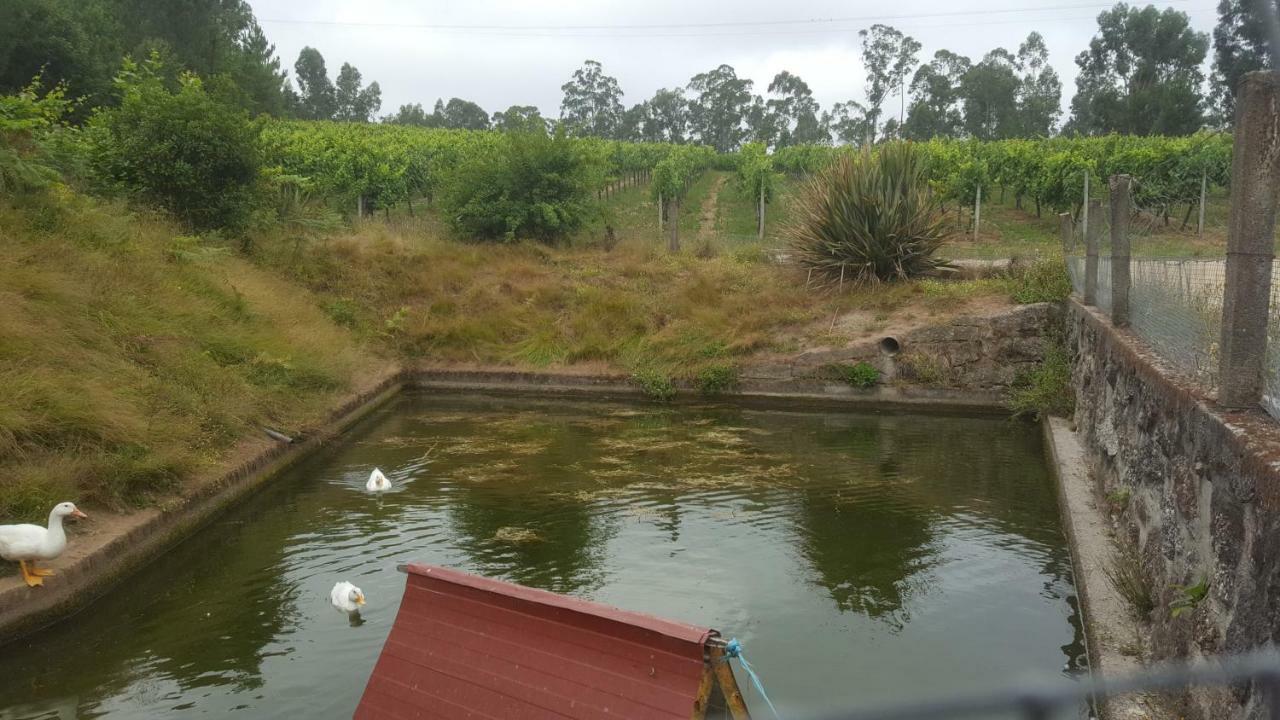 ファフェ Quinta D'Areda Wine&Pool Experienceゲストハウス エクステリア 写真