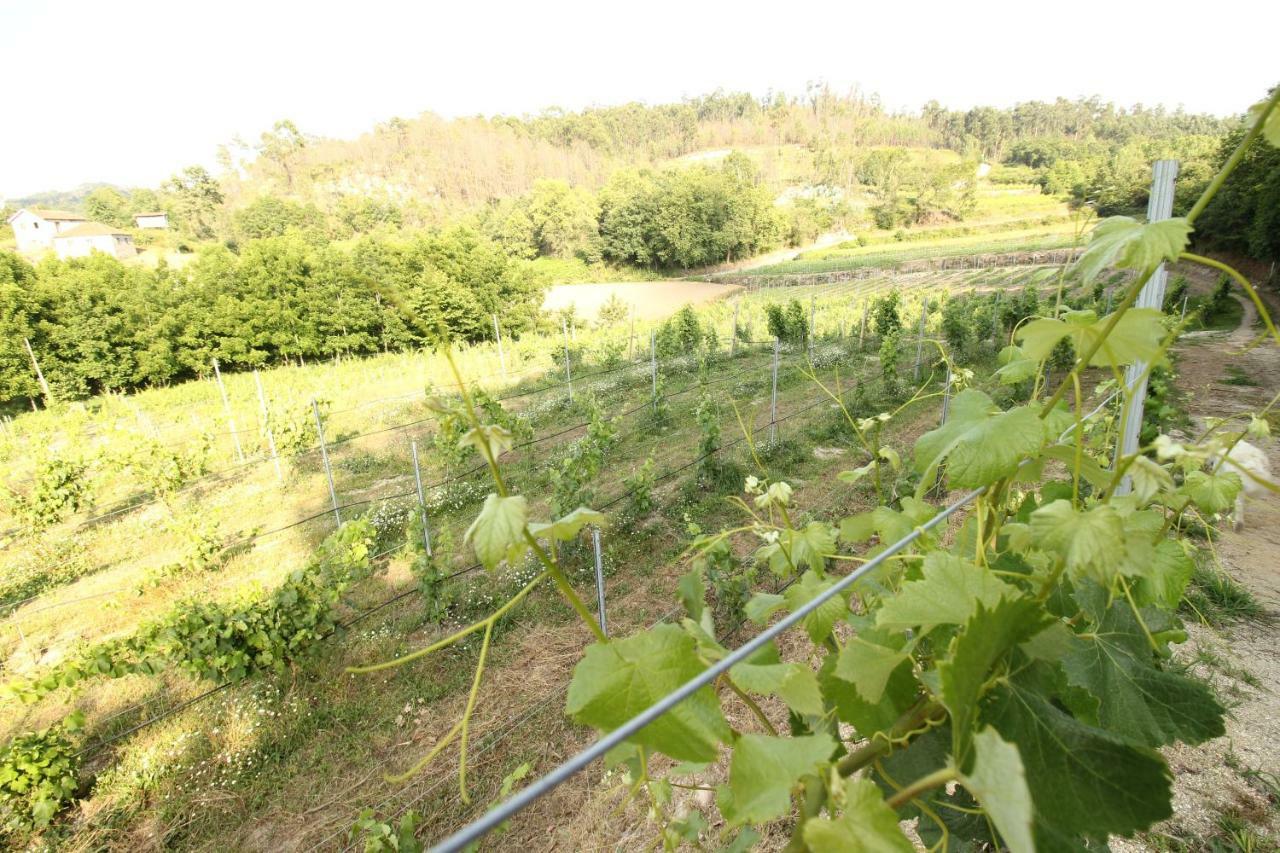 ファフェ Quinta D'Areda Wine&Pool Experienceゲストハウス エクステリア 写真