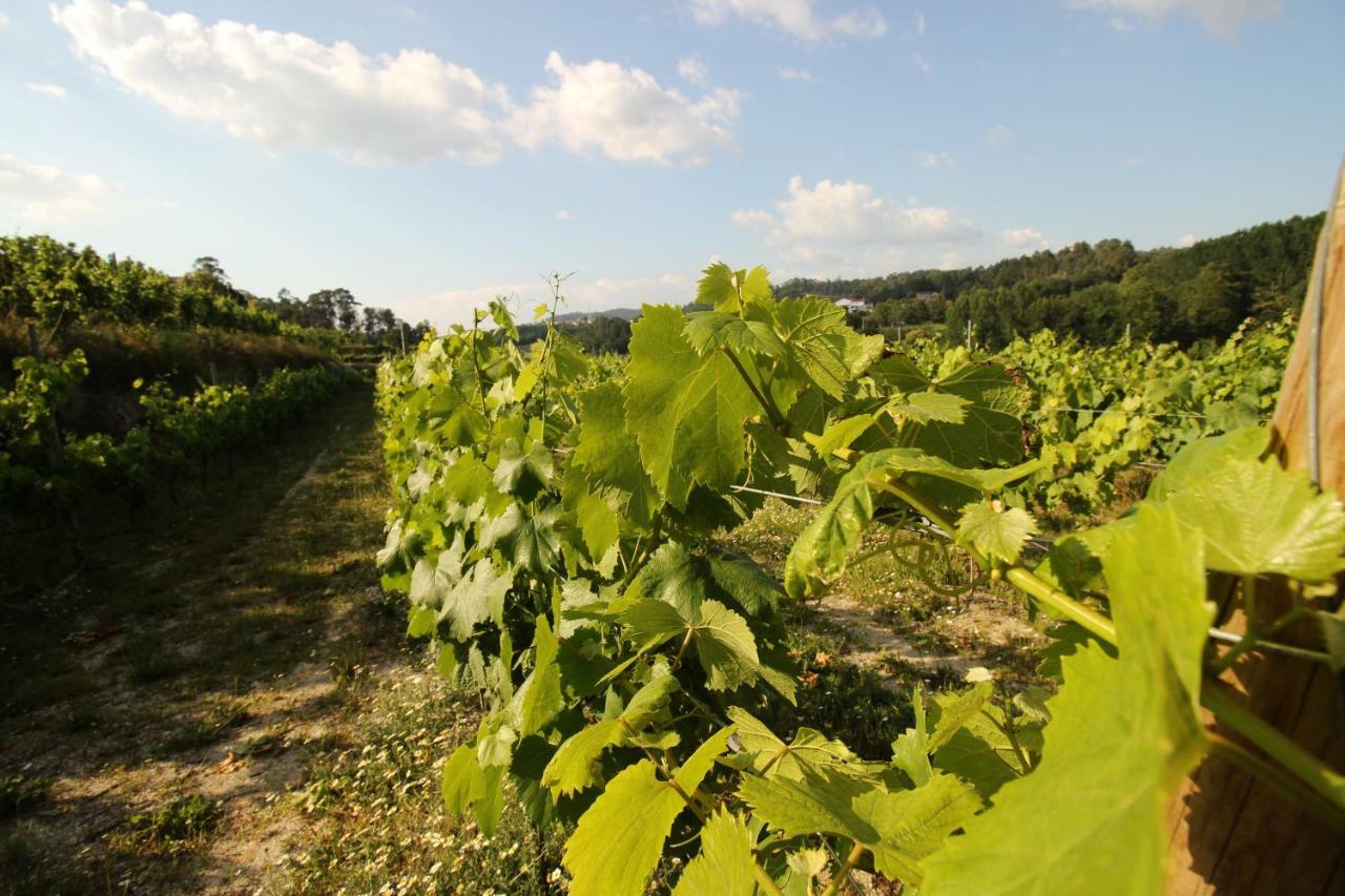 ファフェ Quinta D'Areda Wine&Pool Experienceゲストハウス エクステリア 写真